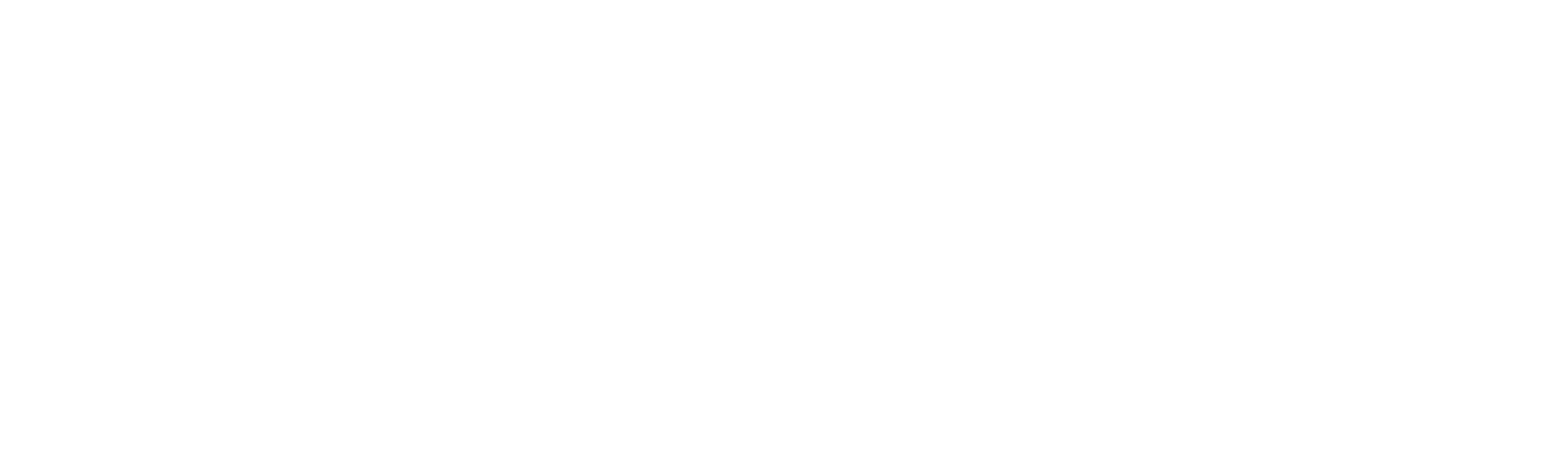 PeakHealthAndFitness_Logo-White